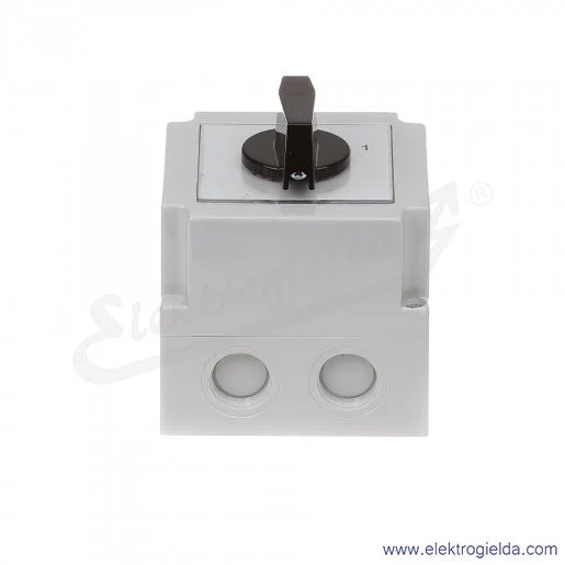 4G16-91-PK /0-1/ 16A 2P Łącznik krzywkowy w obudowie 4G16-91-PK /0-1/ 16A 2P Łącznik krzywkowy w obudowie