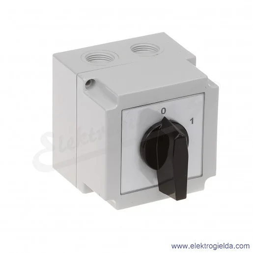 4G25-91-PK /0-1/ 25A 2P Łącznik krzywkowy w obudowie 4G25-91-PK /0-1/ 25A 2P Łącznik krzywkowy w obudowie