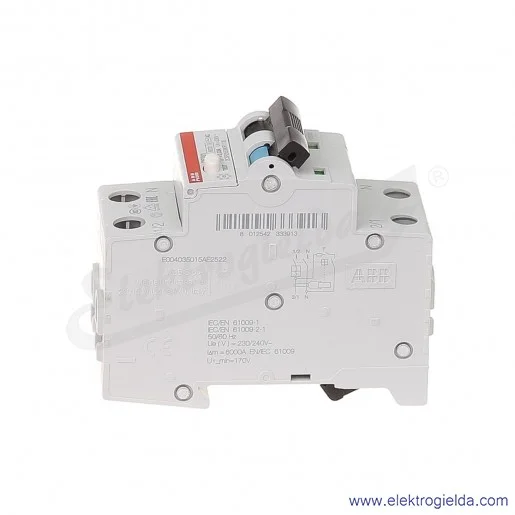 Wyłącznik różnicowo-nadprądowy DS201 AC-B10/0,03 2P 10A B 0,03A typ AC Wyłącznik różnicowo-nadprądowy DS201 AC-B10/0,03 2P 10A B 0,03A typ AC