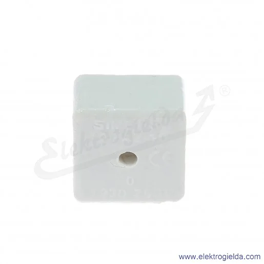 Złączka porcelanowa 44532516, ZPA2-10A T532, 10mm2, 500V, 57A, 2 tory Złączka porcelanowa 44532516, ZPA2-10A T532, 10mm2, 500V, 57A, 2 tory