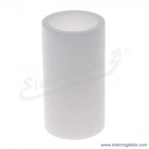 AF40P-060S do filtrów AF40 serii AF-A, filtracja 5 µm AF40P-060S do filtrów AF40 serii AF-A, filtracja 5 µm