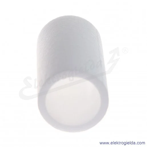 AF40P-060S do filtrów AF40 serii AF-A, filtracja 5 µm AF40P-060S do filtrów AF40 serii AF-A, filtracja 5 µm