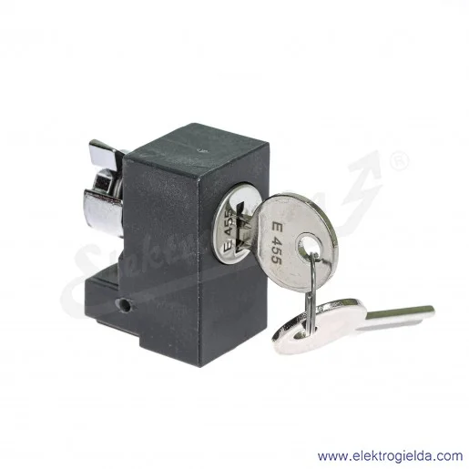 Wkładka klucza NSYIN4551 do Spacial SF/SM, numer 455 Wkładka klucza NSYIN4551 do Spacial SF/SM, numer 455