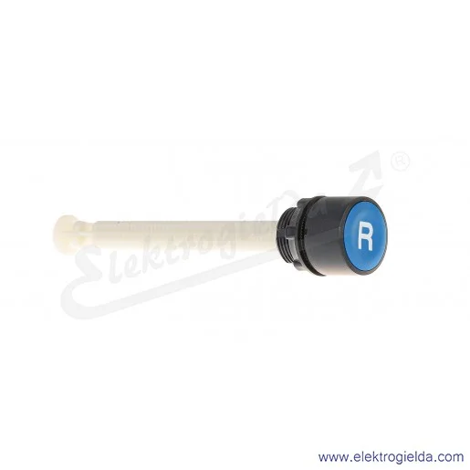 Przycisk zerowania XB5AA86102 reset przeciążenia płaski niebieski "R" bez podświetlenia plastikowy Przycisk zerowania XB5AA86102 reset przeciążenia płaski niebieski "R" bez podświetlenia plastikowy