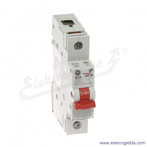 Rozłącznik główny AST M 80 10 1P 80A Rozłącznik główny AST M 80 10 1P 80A