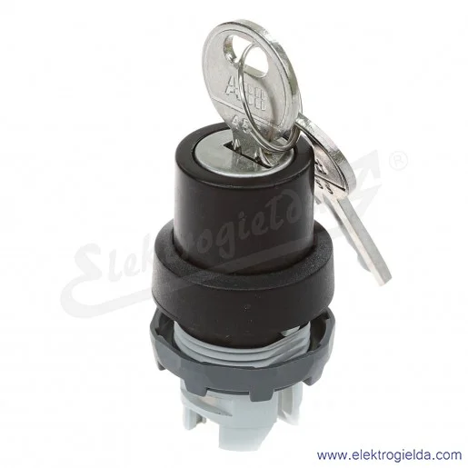 Napęd przełącznika 1SFA611281R1001, M2SSK2-101, obrotowy kluczykowy, 2 pozycyjny Napęd przełącznika 1SFA611281R1001, M2SSK2-101, obrotowy kluczykowy, 2 pozycyjny