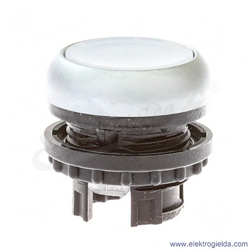 Napęd przycisku 216944, M22-DRL-W, biały, kryty, z podświetleniem, stabilny, IP67 Napęd przycisku 216944, M22-DRL-W, biały, kryty, z podświetleniem, stabilny, IP67