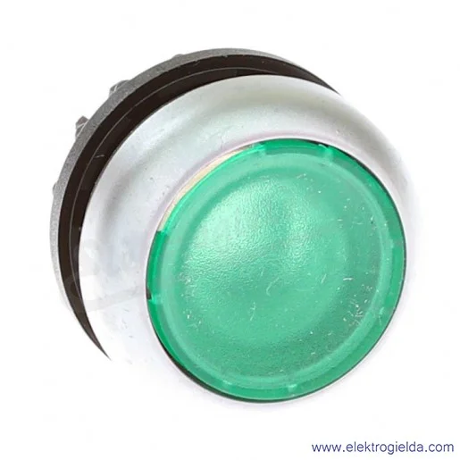 Napęd przycisku 216948, M22-DRL-G, zielony, kryty, z podświetleniem, stabilny, IP67 Napęd przycisku 216948, M22-DRL-G, zielony, kryty, z podświetleniem, stabilny, IP67