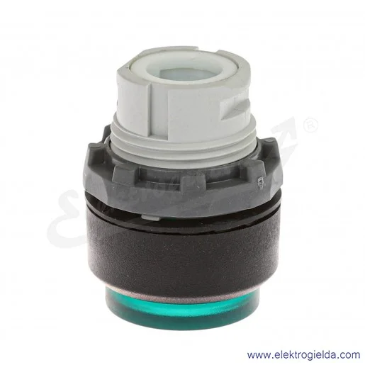 Napęd przycisku 1SFA611103R1102, MP4-11G, zielony, bistabilny, podświetlany, przycisk wystający Napęd przycisku 1SFA611103R1102, MP4-11G, zielony, bistabilny, podświetlany, przycisk wystający