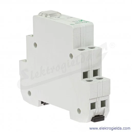 Lampka kontrolna 248303, Z-L transparentna Lampka kontrolna 248303, Z-L transparentna