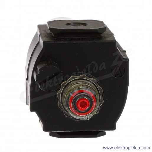 Smarownica pneumatyczna Excelon L73M-2GP-ETN G1/4 Smarownica pneumatyczna Excelon L73M-2GP-ETN G1/4