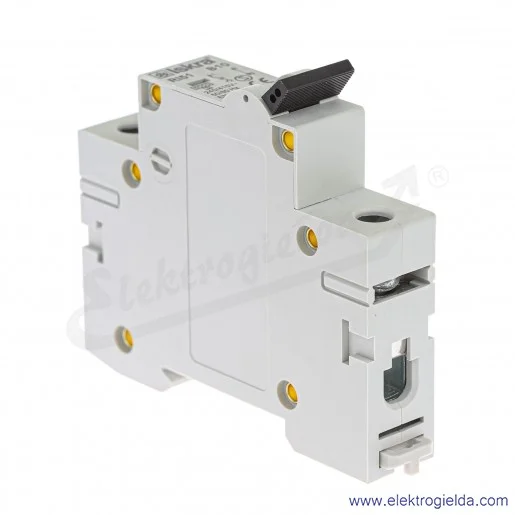 Wyłącznik nadprądowy RI51 1P, typ B, 6kA, 10A Wyłącznik nadprądowy RI51 1P, typ B, 6kA, 10A