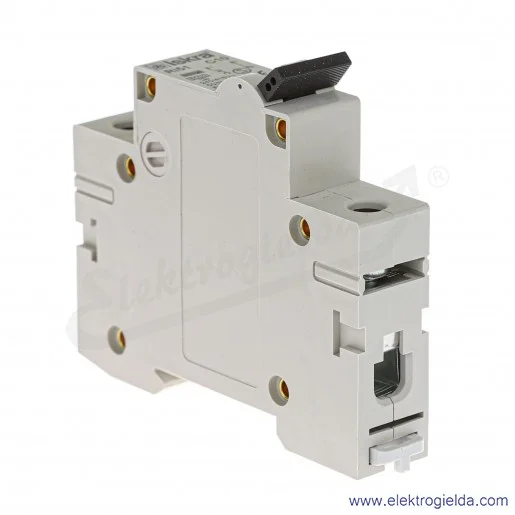 Wyłącznik nadprądowy RI51C10 1P, 10A, typ C, 6kA Wyłącznik nadprądowy RI51C10 1P, 10A, typ C, 6kA