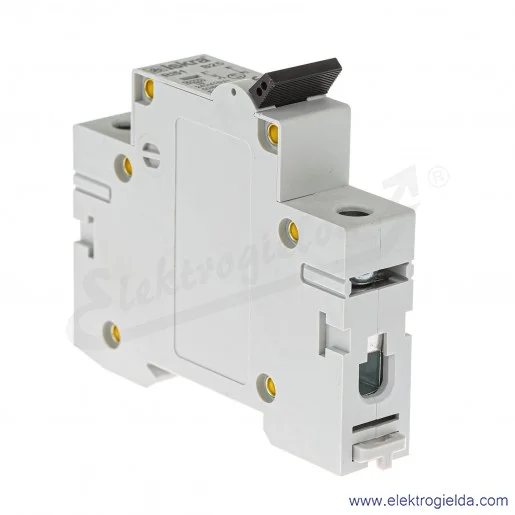 Wyłącznik nadprądowy RI51B25 1P, 25A, typ B, 6kA Wyłącznik nadprądowy RI51B25 1P, 25A, typ B, 6kA