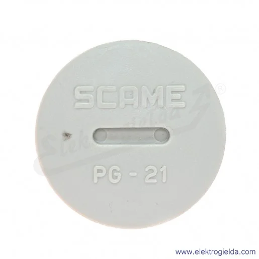 Zaślepka 805.3385 szara PG21 do otworu fi29, IP66 Zaślepka 805.3385 szara PG21 do otworu fi29, IP66