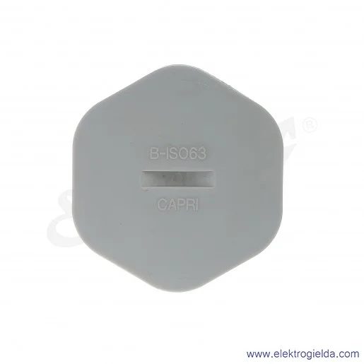 Zaślepka z tworzywa E03DK-02110200803, DZ 63M, M63x1.5, szara Zaślepka z tworzywa E03DK-02110200803, DZ 63M, M63x1.5, szara