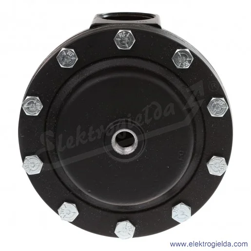 Reduktor 11-808-980, G1, 0.16-20 Bar, 10800 l/min, przyłącze pilota Rc 1/4, przyłącze manometru Rc 1/8 Reduktor 11-808-980, G1, 0.16-20 Bar, 10800 l/min, przyłącze pilota Rc 1/4, przyłącze manometru Rc 1/8