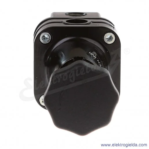 Precyzyjny regulator ciśnienia 11-818-991, G1/4, zakres regulacji ciśnienia 0.4-10 Bar, dokładność regulacji 0.05 Bara, przyłąc Precyzyjny regulator ciśnienia 11-818-991, G1/4, zakres regulacji ciśnienia 0.4-10 Bar, dokładność regulacji 0.05 Bara, przyłąc