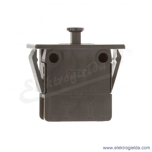 Wyłącznik krańcowy D2D-2100 10A 250VAC, 1NO1NC mikroprzełącznik Wyłącznik krańcowy D2D-2100 10A 250VAC, 1NO1NC mikroprzełącznik