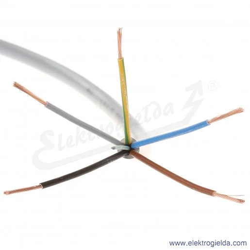 5G1,0mm2 ÖLFLEX® CLASSIC 100 Przewód przyłączeniowy zasilający i sterowniczy 5G1,0mm2 ÖLFLEX® CLASSIC 100 Przewód przyłączeniowy zasilający i sterowniczy