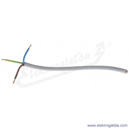 3G4,0mm2 ÖLFLEX® CLASSIC 100 Przewód przyłączeniowy zasilający i sterowniczy 3G4,0mm2 ÖLFLEX® CLASSIC 100 Przewód przyłączeniowy zasilający i sterowniczy