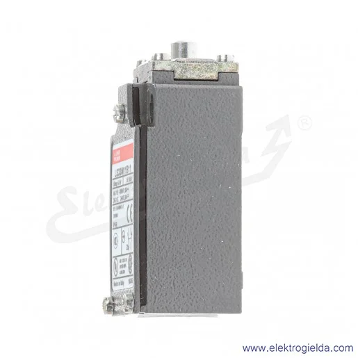 Wyłącznik krańcowy 1SBV013811R1211 LS33M11B11 1NO+1NC, trzpień wciskany metalowy, IP65, M20, wymiary 30.3x55x30mm Wyłącznik krańcowy 1SBV013811R1211 LS33M11B11 1NO+1NC, trzpień wciskany metalowy, IP65, M20, wymiary 30.3x55x30mm