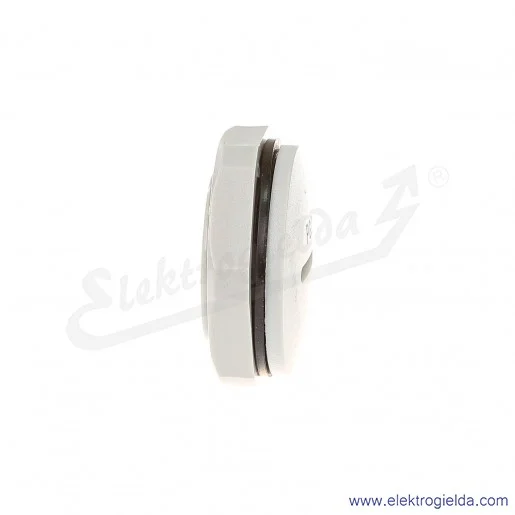 Zaślepka z tworzywa E03DK-02110300603 DZ2 21, PG21, szara z nakrętką i uszczelką Zaślepka z tworzywa E03DK-02110300603 DZ2 21, PG21, szara z nakrętką i uszczelką