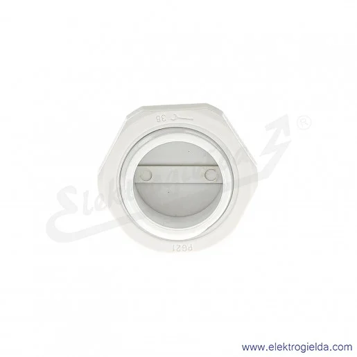 Zaślepka z tworzywa E03DK-02110300603 DZ2 21, PG21, szara z nakrętką i uszczelką Zaślepka z tworzywa E03DK-02110300603 DZ2 21, PG21, szara z nakrętką i uszczelką