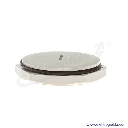 Zaślepka z tworzywa E03DK-02110400801 DZ2 63 M63x1.5 szara z nakrętką i uszczelką Zaślepka z tworzywa E03DK-02110400801 DZ2 63 M63x1.5 szara z nakrętką i uszczelką