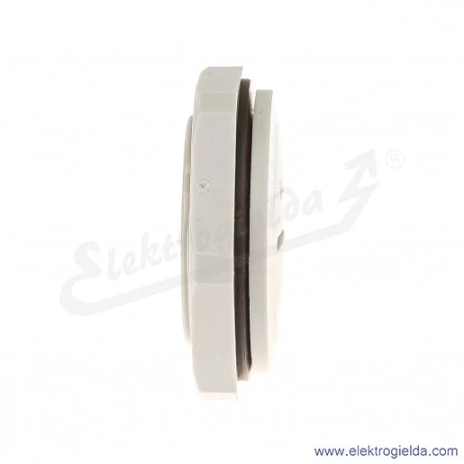 Zaślepka z tworzywa E03DK-02110400601 DZ2 40M, M40x1.5, szara z nakrętką i uszczelką Zaślepka z tworzywa E03DK-02110400601 DZ2 40M, M40x1.5, szara z nakrętką i uszczelką