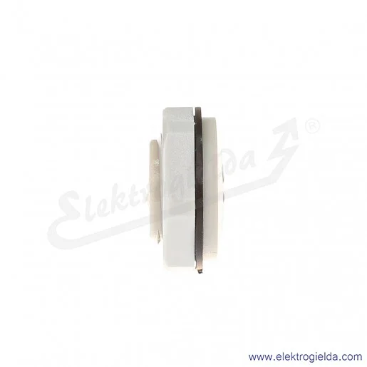 Zaślepka z tworzywa E03DK-02110400301 DZ2 20M M20x1.5, szara z nakrętką i uszczelką Zaślepka z tworzywa E03DK-02110400301 DZ2 20M M20x1.5, szara z nakrętką i uszczelką