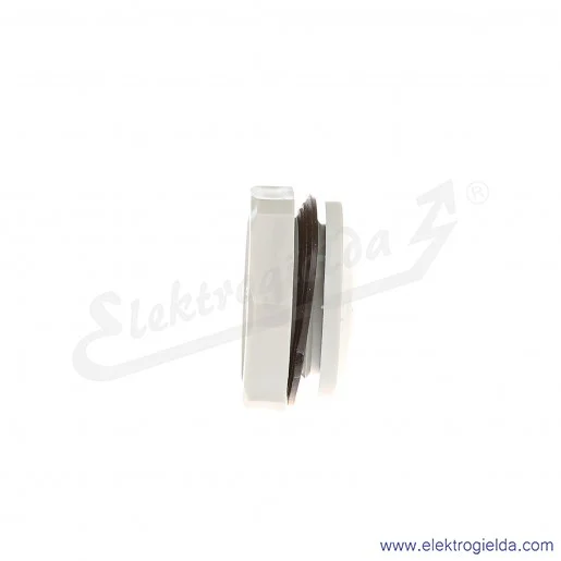 Zaślepka z tworzywa E03DK-02110300503 DZ2 16, PG16, szara z nakrętką i uszczelką Zaślepka z tworzywa E03DK-02110300503 DZ2 16, PG16, szara z nakrętką i uszczelką