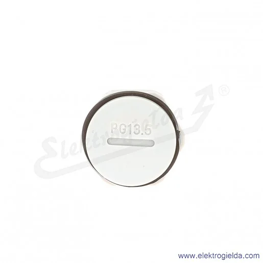 Zaślepka z tworzywa E03DK-02110300403 DZ2 13, PG13, szara z nakrętką i uszczelką Zaślepka z tworzywa E03DK-02110300403 DZ2 13, PG13, szara z nakrętką i uszczelką