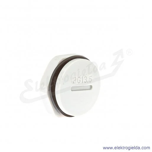 Zaślepka z tworzywa E03DK-02110300403 DZ2 13, PG13, szara z nakrętką i uszczelką Zaślepka z tworzywa E03DK-02110300403 DZ2 13, PG13, szara z nakrętką i uszczelką