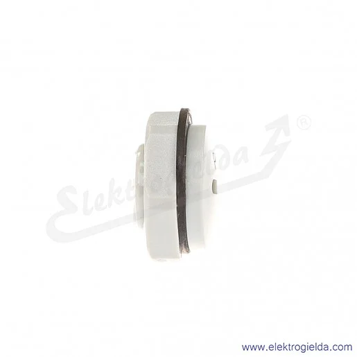 Zaślepka z tworzywa E03DK-02110300203 DZ2 9, PG9, szara z nakrętką i uszczelką Zaślepka z tworzywa E03DK-02110300203 DZ2 9, PG9, szara z nakrętką i uszczelką