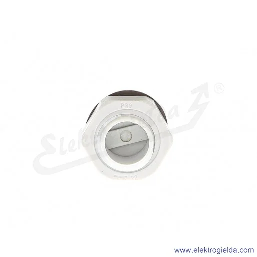 Zaślepka z tworzywa E03DK-02110300203 DZ2 9, PG9, szara z nakrętką i uszczelką Zaślepka z tworzywa E03DK-02110300203 DZ2 9, PG9, szara z nakrętką i uszczelką