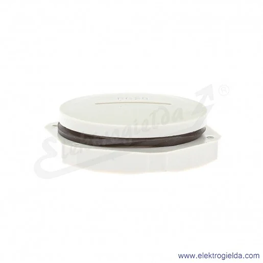 Zaślepka z tworzywa E03DK-02110300703 DZ2 29, PG29, szara z nakrętką i uszczelką Zaślepka z tworzywa E03DK-02110300703 DZ2 29, PG29, szara z nakrętką i uszczelką