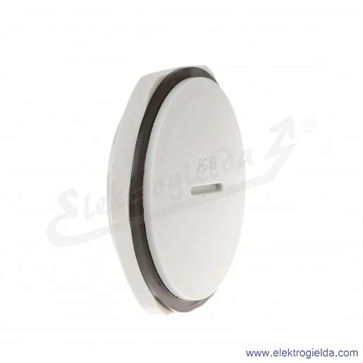 Zaślepka z tworzywa E03DK-02110301003 DZ2 48, PG48, szara z nakrętką i uszczelką Zaślepka z tworzywa E03DK-02110301003 DZ2 48, PG48, szara z nakrętką i uszczelką