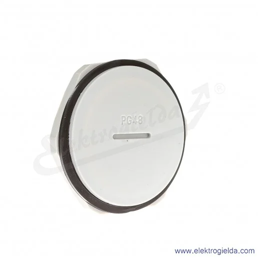 Zaślepka z tworzywa E03DK-02110301003 DZ2 48, PG48, szara z nakrętką i uszczelką Zaślepka z tworzywa E03DK-02110301003 DZ2 48, PG48, szara z nakrętką i uszczelką