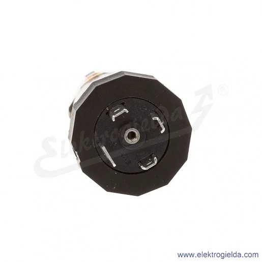 Przetwornik ciśnienia 6836567 PT250R-2004-U1-DA91 zasilanie 12..33VDC, 0-250Bar wyjście analogowe 0-10V przyłącze G1/4" Przetwornik ciśnienia 6836567 PT250R-2004-U1-DA91 zasilanie 12..33VDC, 0-250Bar wyjście analogowe 0-10V przyłącze G1/4"