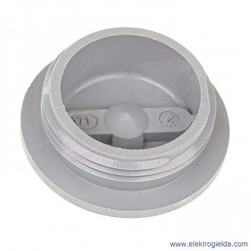 Zaślepka z poliamidu 52006131 SKINDICHT  BLK-GL-M 25x1.5 Zaślepka z poliamidu 52006131 SKINDICHT  BLK-GL-M 25x1.5