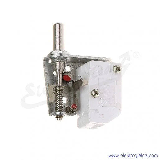 Łącznik krańcowy LM-1P2 miniaturowy z napędem popychaczowym 2P Łącznik krańcowy LM-1P2 miniaturowy z napędem popychaczowym 2P